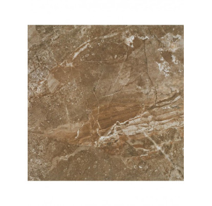 DESIRE SHINE 60 MARRON 